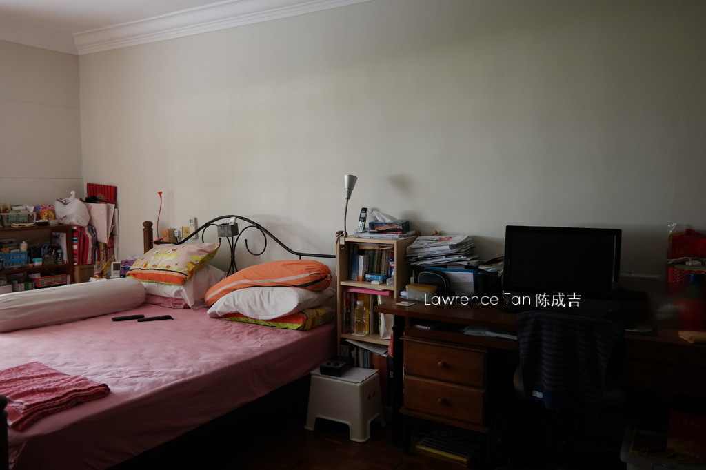 Braddell View (D20), Apartment #153517172